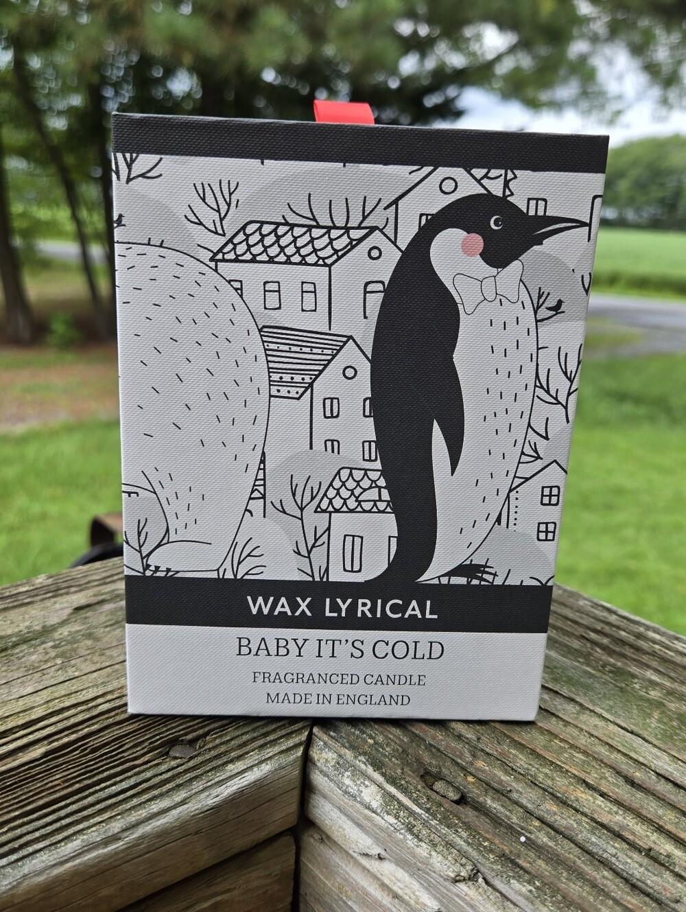 Baby It's Cold Fragranced Candle - Black & White